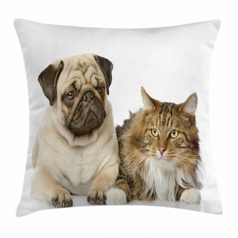Pets Sitting Studio Shot Pillow Cover