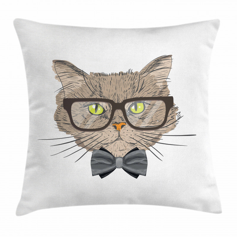 Urban Style Hipster Cat Pillow Cover
