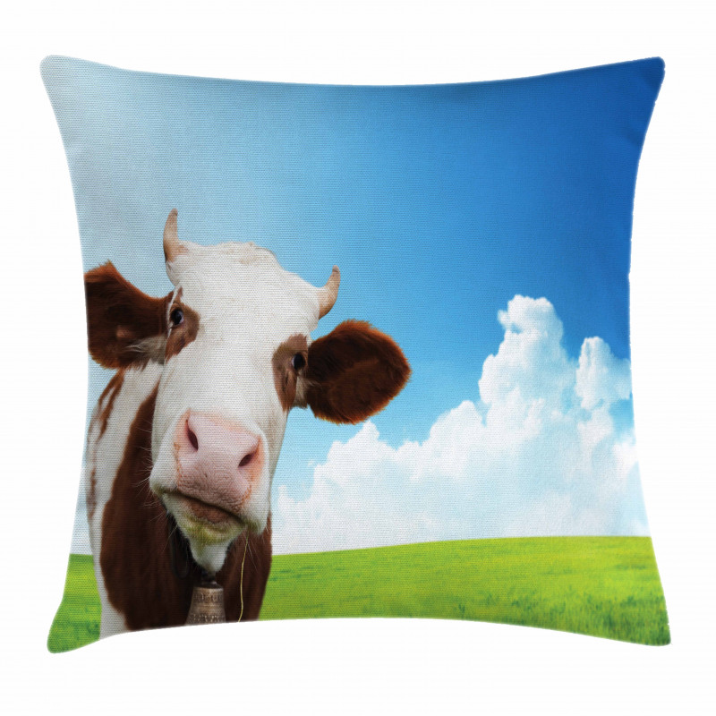 Staring Brown Animal Pillow Cover