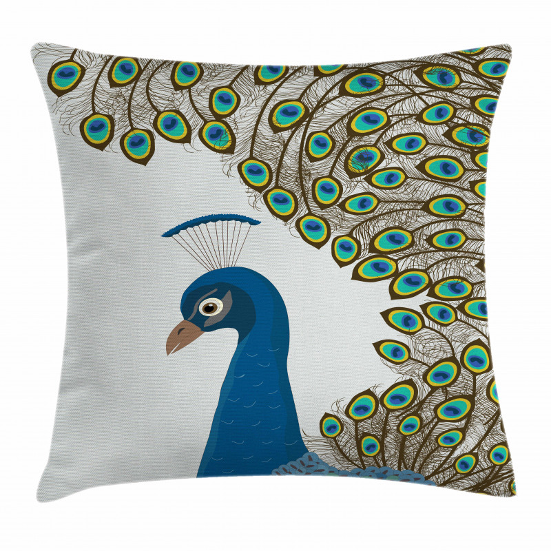 Exotic Feathers Frame Pillow Cover
