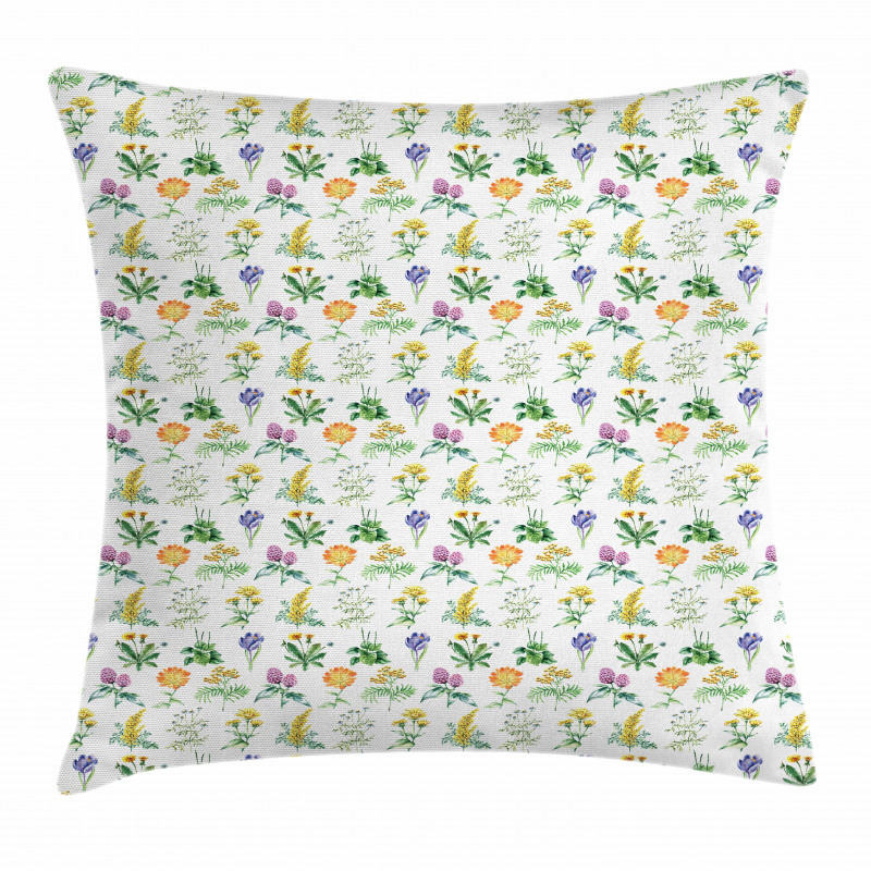 Organic Herbs Sketch Pillow Cover