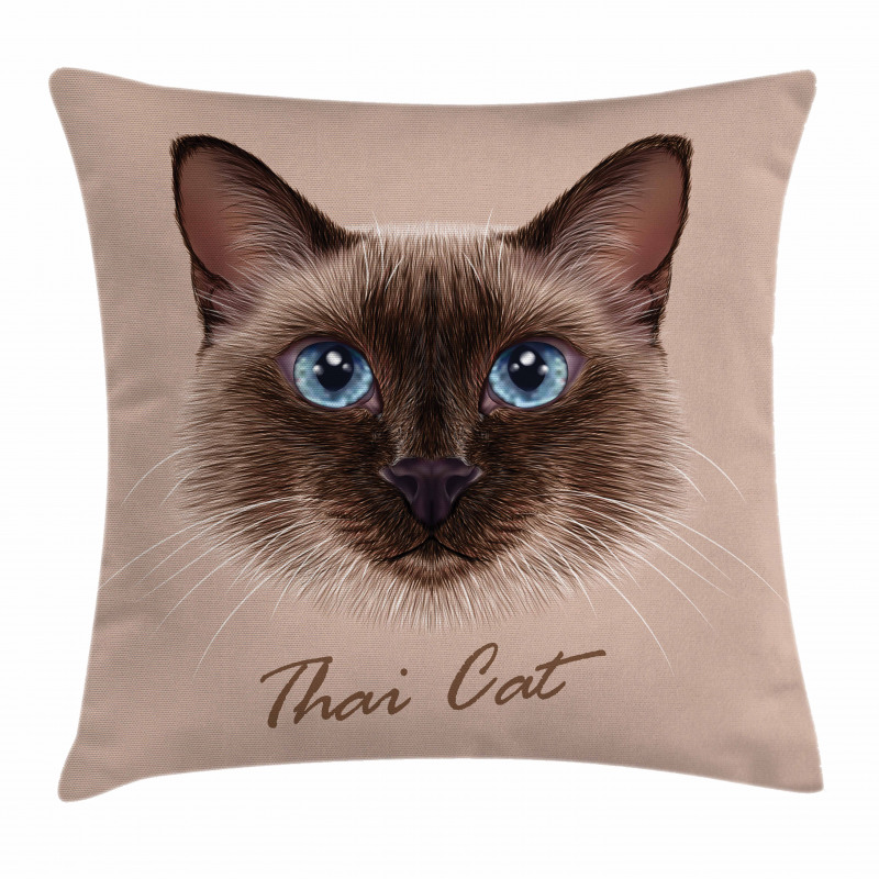 Domestic Animal Siamese Cat Pillow Cover