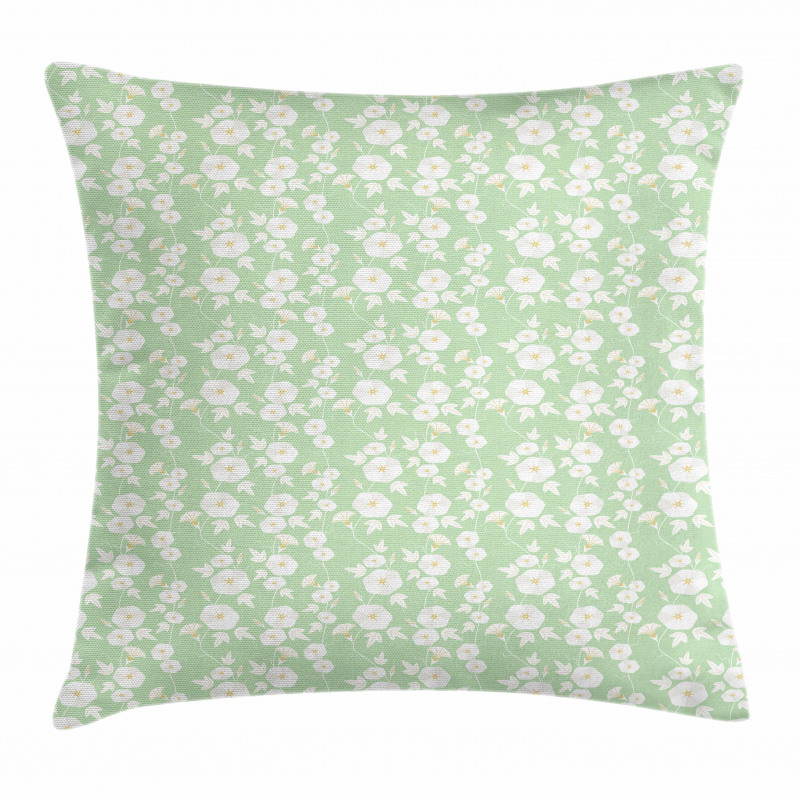 Morning Glory Species Pillow Cover