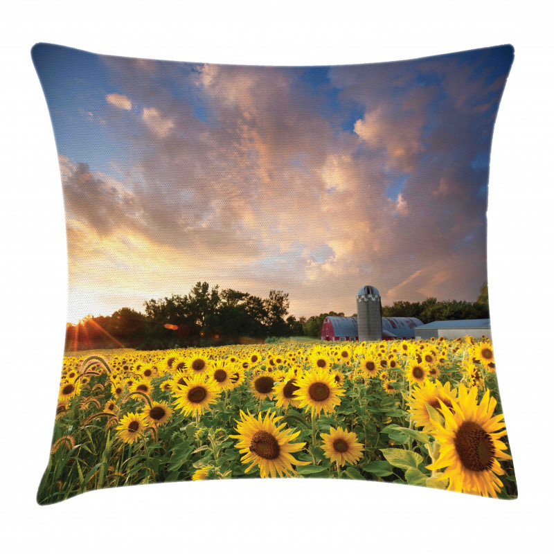 Sunflower Field Sky Pillow Cover