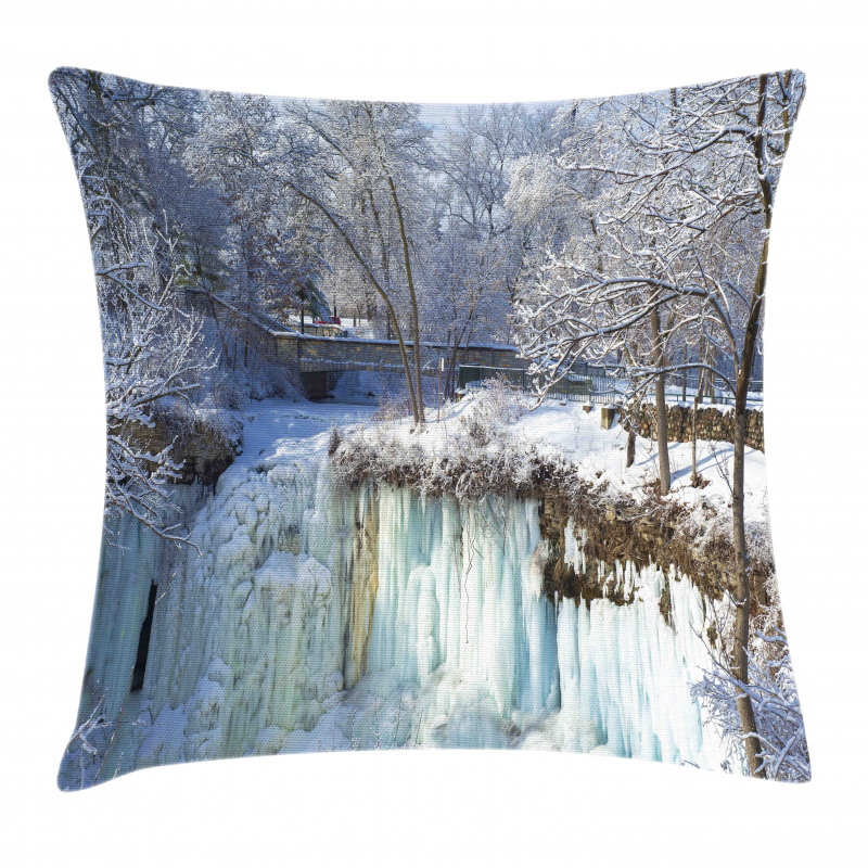 Frozen Minnehaha Fall Pillow Cover