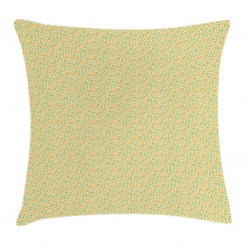 Juicy Fresh Food Pillow Cover