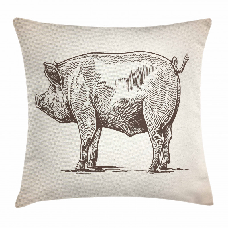 Vintage Hand-Drawn Image Pillow Cover