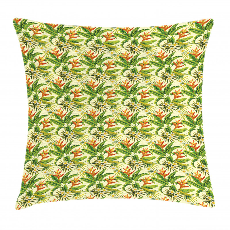 Exoitc Plumeria Blooms Pillow Cover