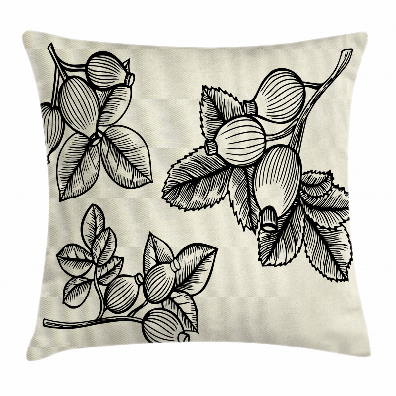 Rosa Canina Sketch Pillow Cover