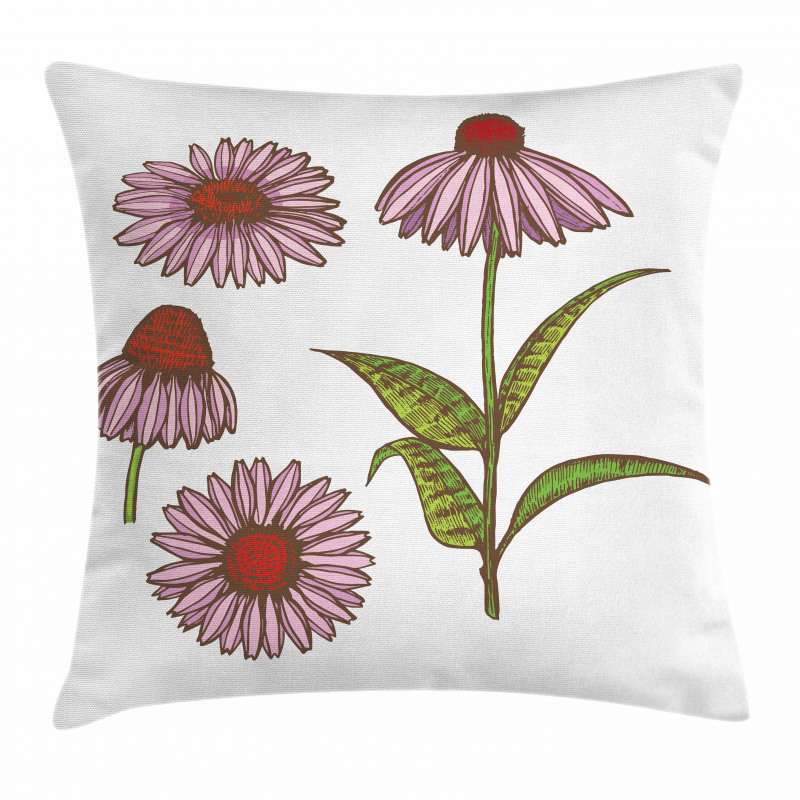 Coneflower Herbs Pillow Cover