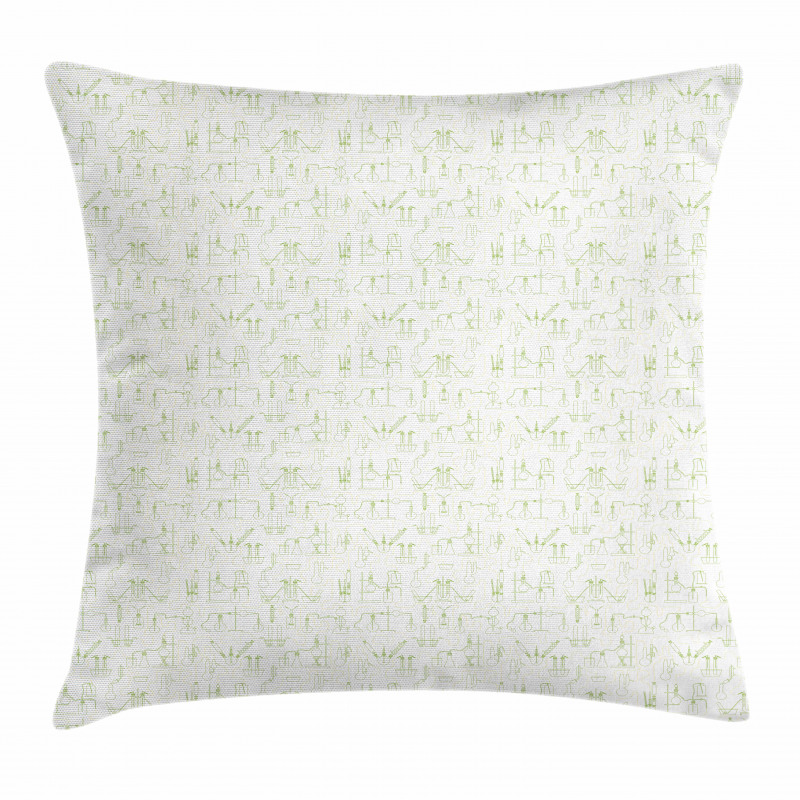 Biochemistry Concept Flasks Pillow Cover