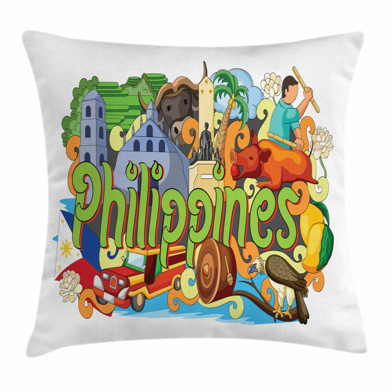 Architecture and Culture Pillow Cover