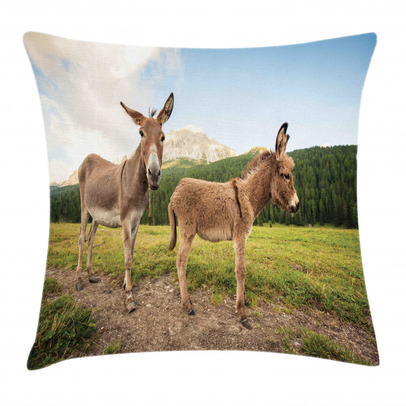 Dolomites Italy Countryside Pillow Cover