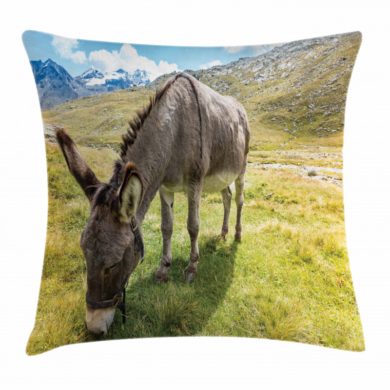 Donkey Eating Grass Mountain Pillow Cover