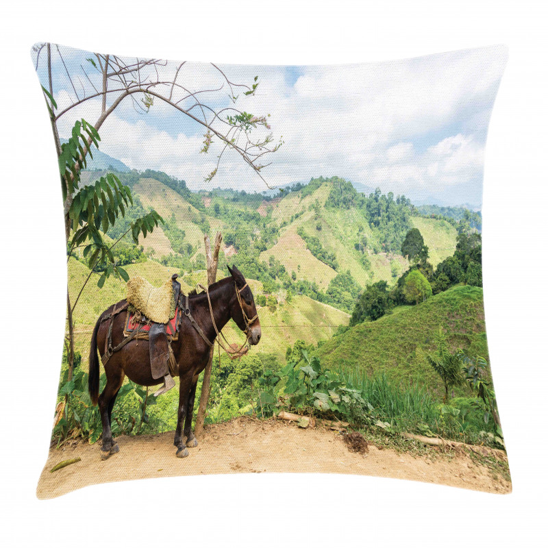 Rural ColumbiMountains Pillow Cover