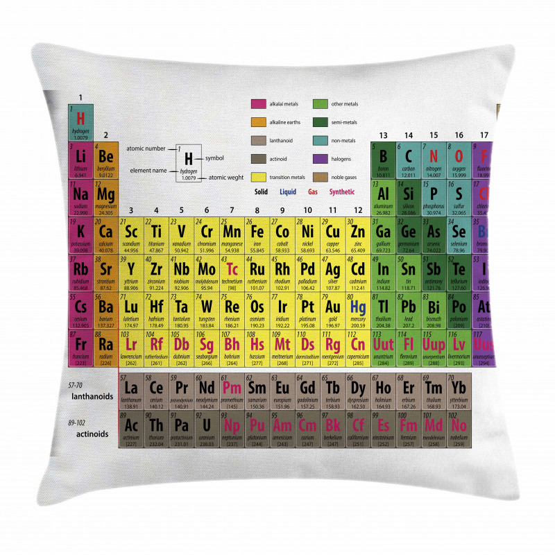 Chemistry Educational Pillow Cover