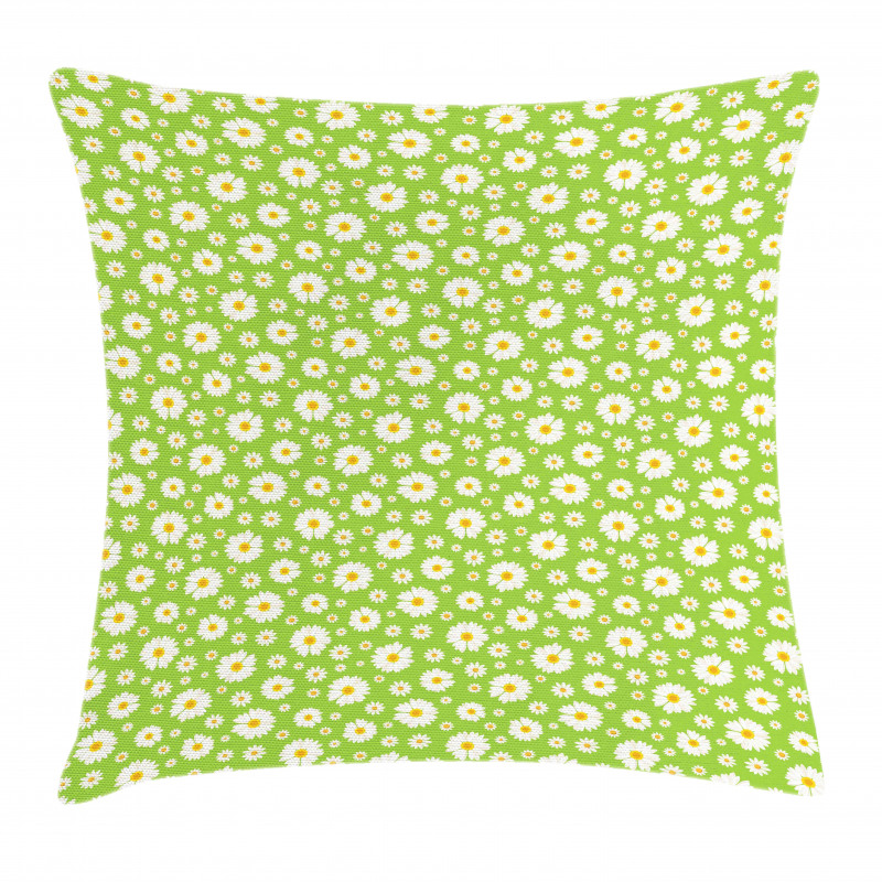 Chamomile Bloom on Pale Green Pillow Cover