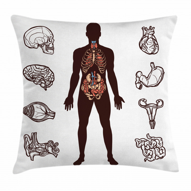 Organs Infographic Image Pillow Cover