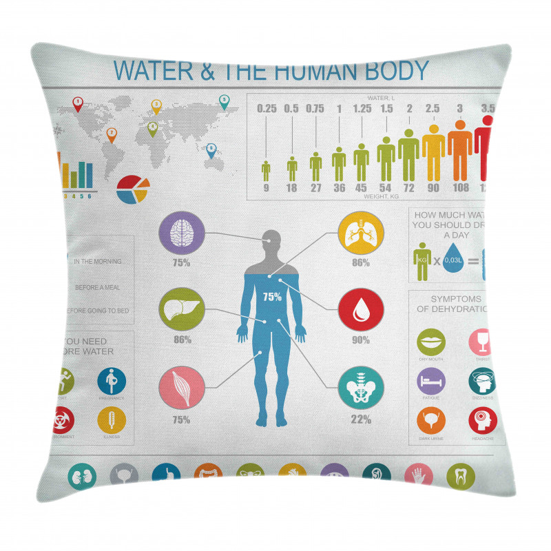 Water and Human Body Info Pillow Cover