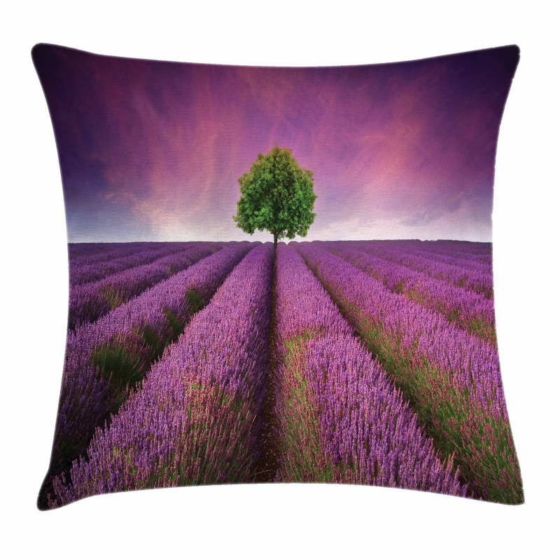 Lavender Fields and Tree Pillow Cover