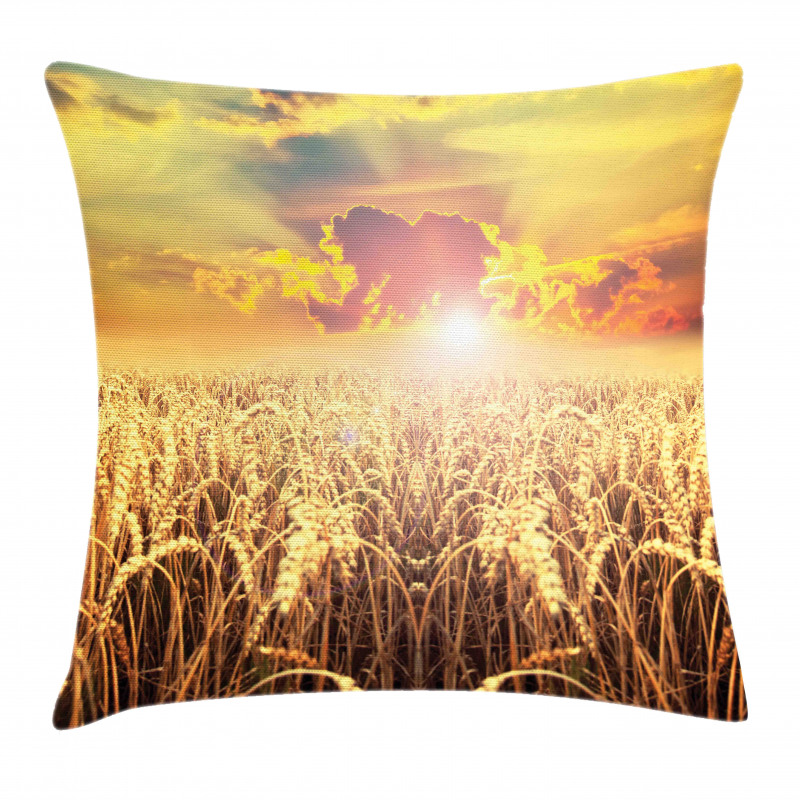 Anther Field Sunset Pillow Cover