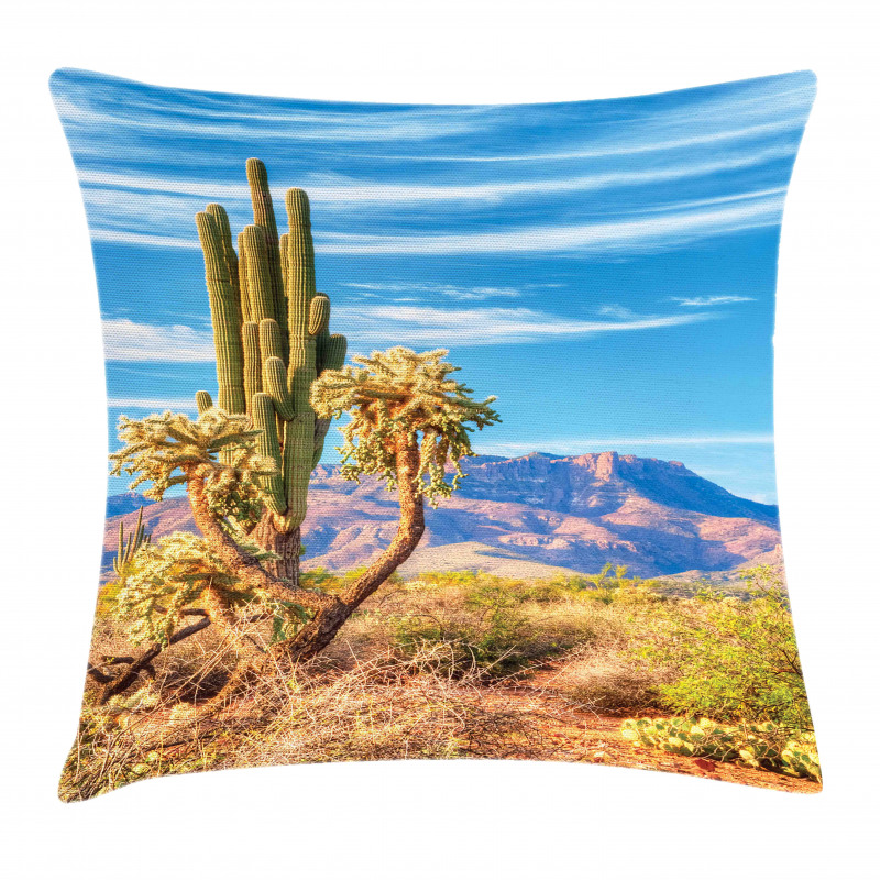 Landscape and Prickle Plant Pillow Cover