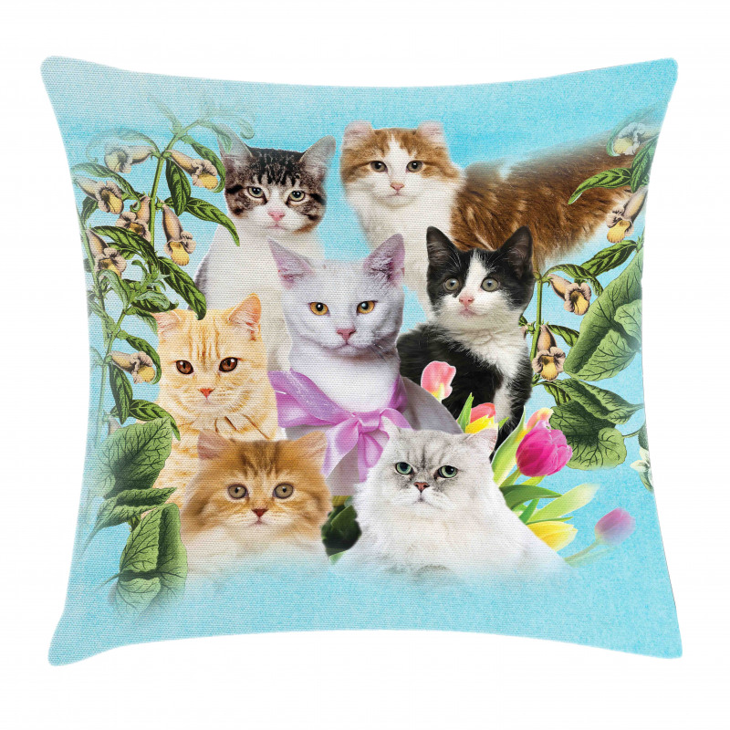 Cats Feline Domestic Pillow Cover