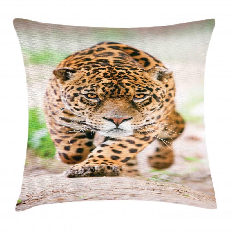 Jungle Fauna Predator Cat Pillow Cover