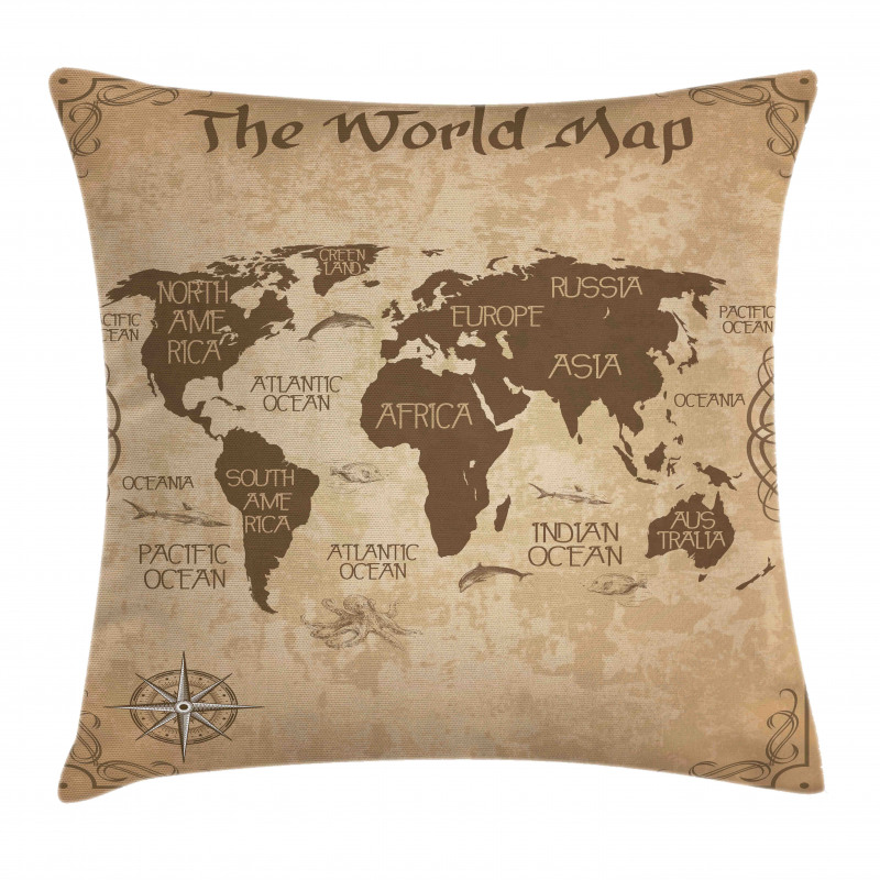 Vintage Topographic Image Pillow Cover