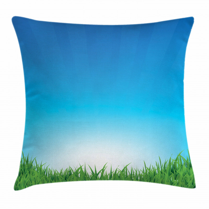 Sunburst Stripes with Grass Pillow Cover