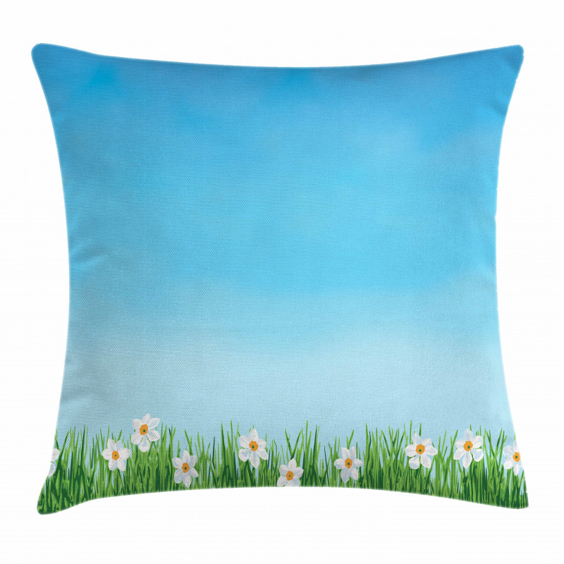 Blue Skies Blurred Background Pillow Cover
