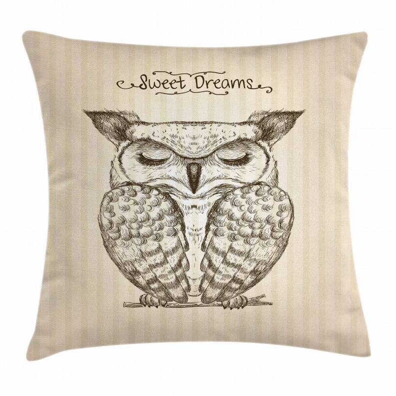 Sleeping Owl Dreams Pillow Cover