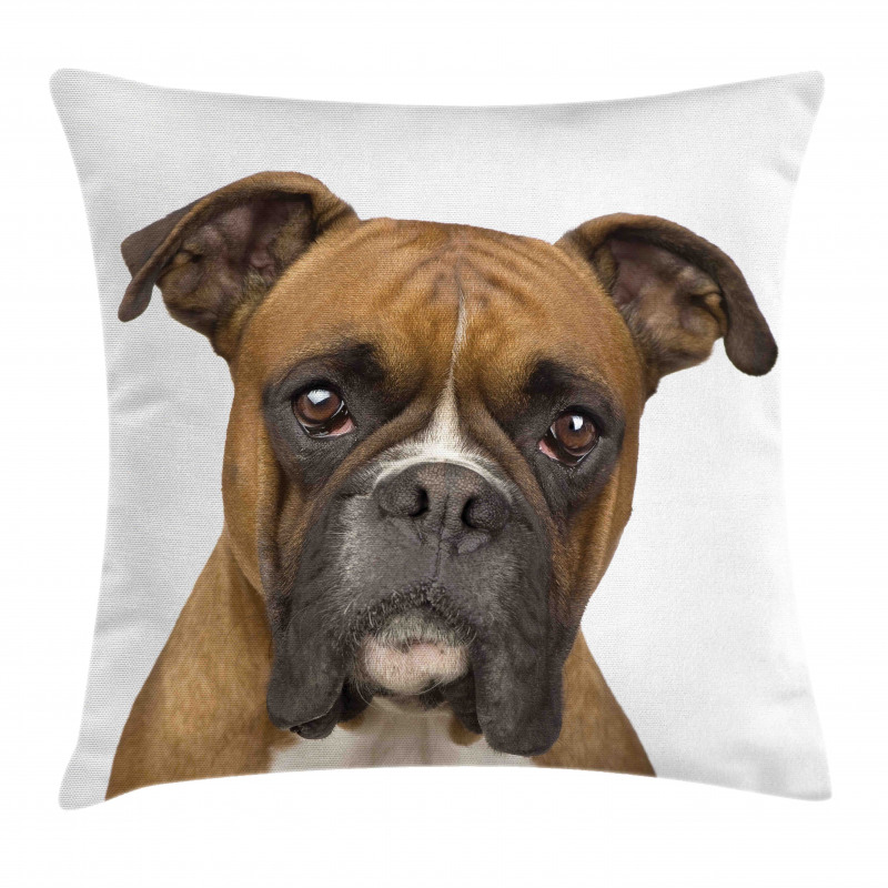 Purebred Dog Front View Pillow Cover