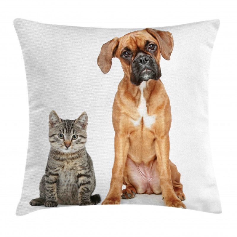 Cat Dog Animal Friends Pillow Cover