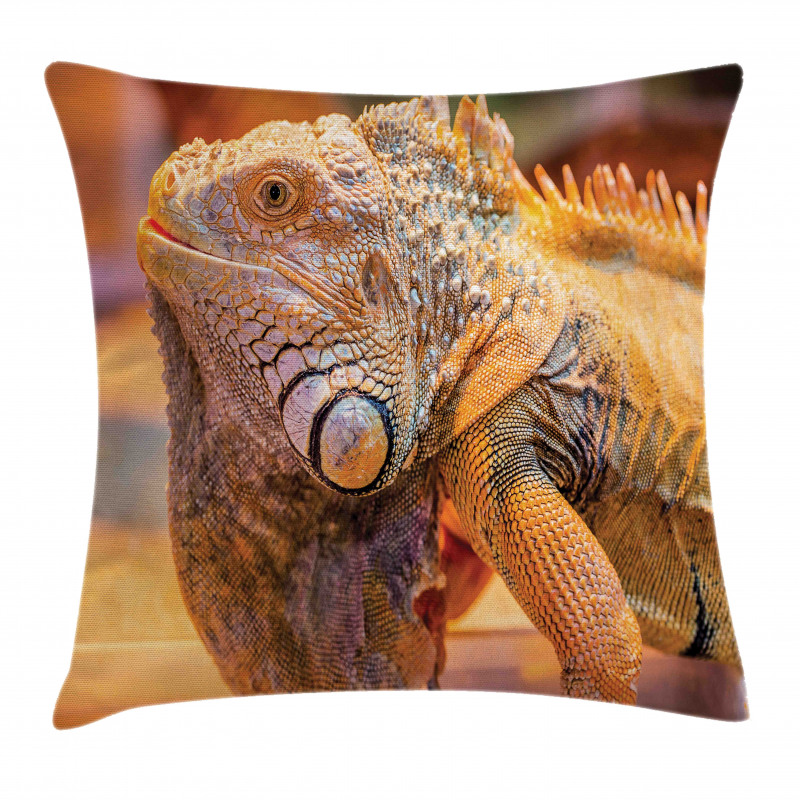 Caribbean Arboreal Animal Pillow Cover