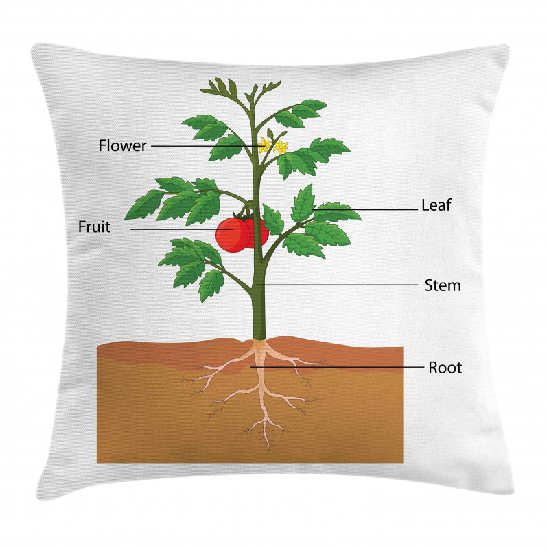 Parts of a Tomato Plant Pillow Cover