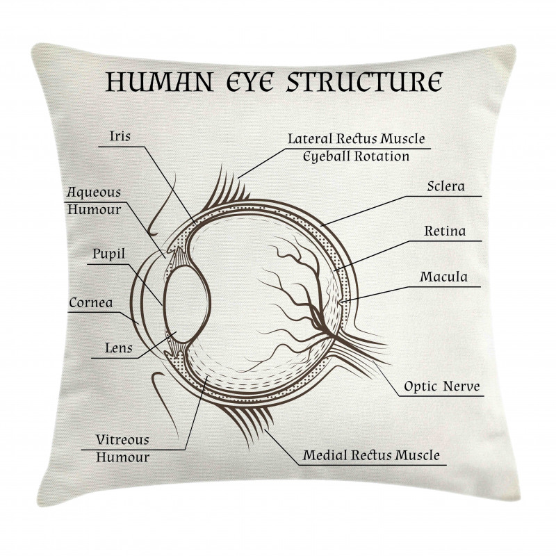 Structure of the Human Eye Pillow Cover