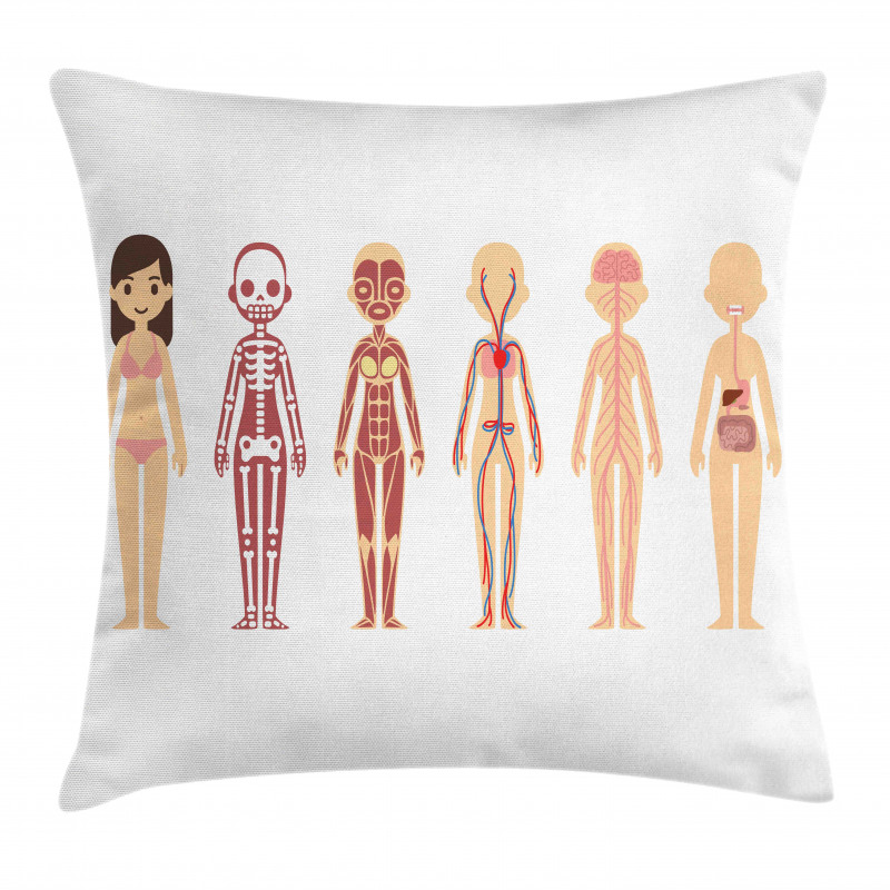 Female Body Anatomy Chart Pillow Cover