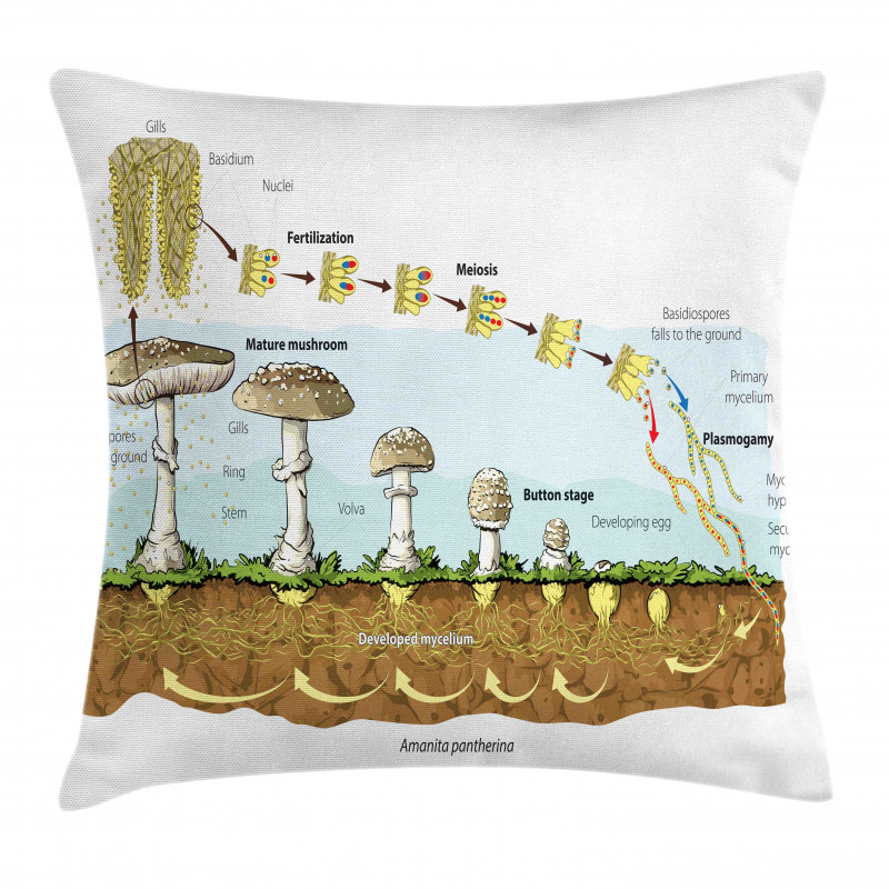 Life Cycle of Mushrooms Pillow Cover