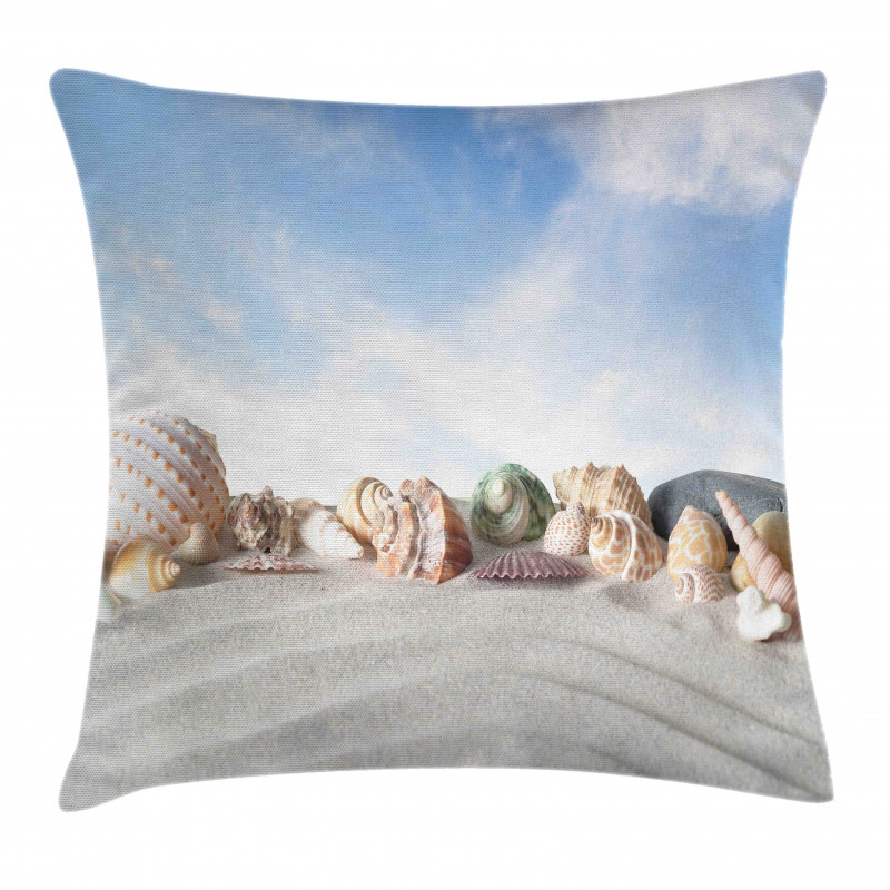 Seashells on Sand Hill Sky Pillow Cover