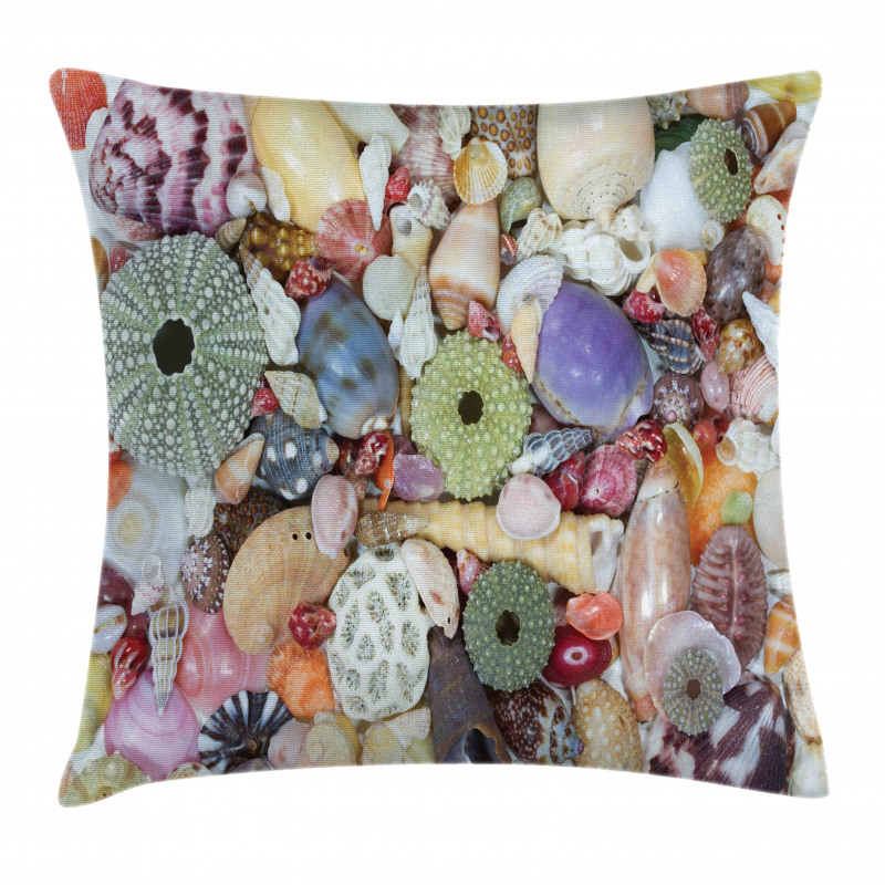 Closeup Colorful Big Little Pillow Cover