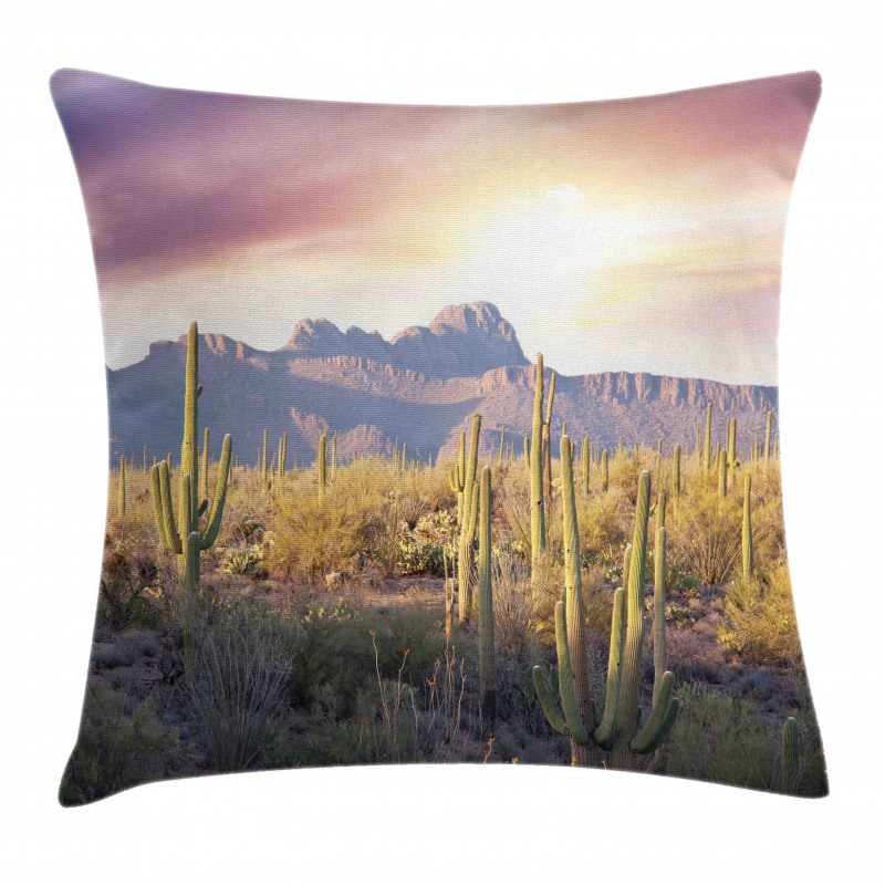 Saguaro Cactus and Mountain Pillow Cover