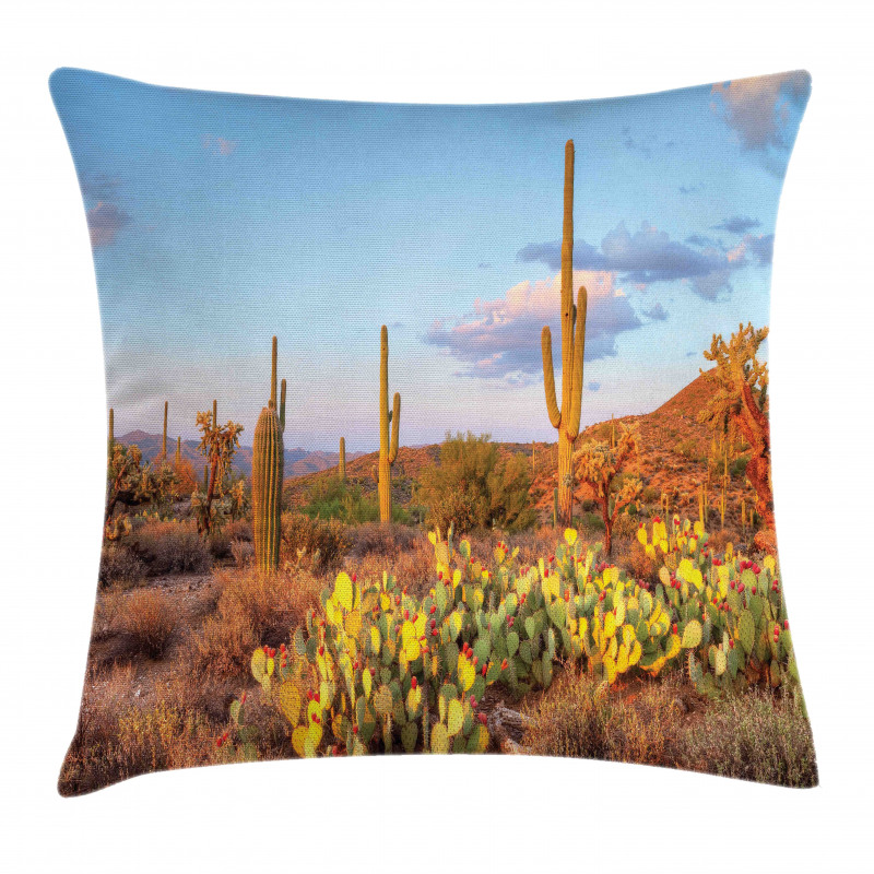 Cacti in Sonoran Desert Pillow Cover