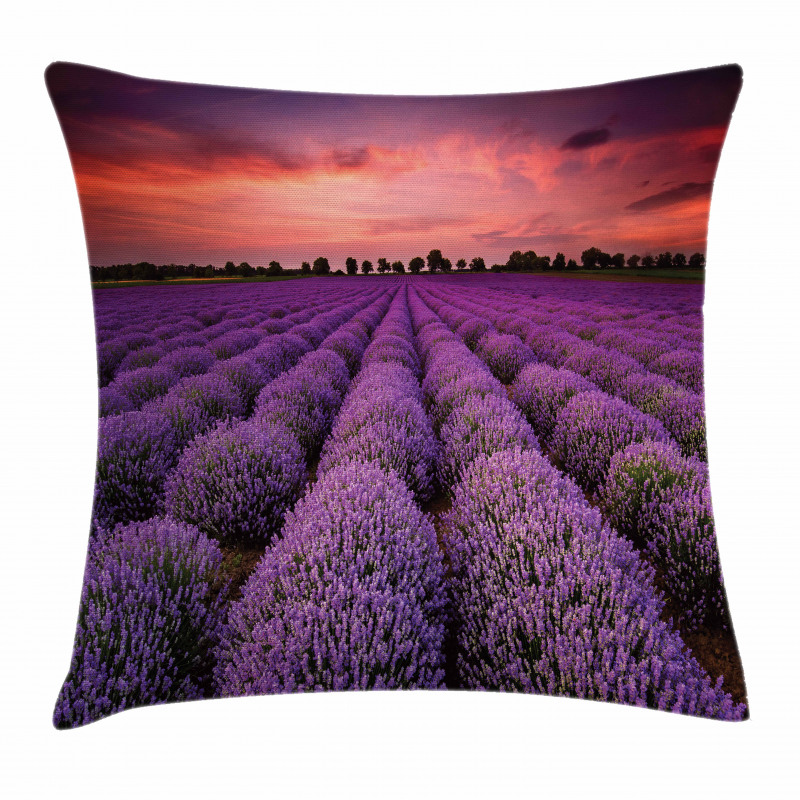 Lavender Field Sunset Pillow Cover