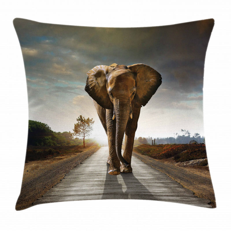 Walking down a Road Pillow Cover