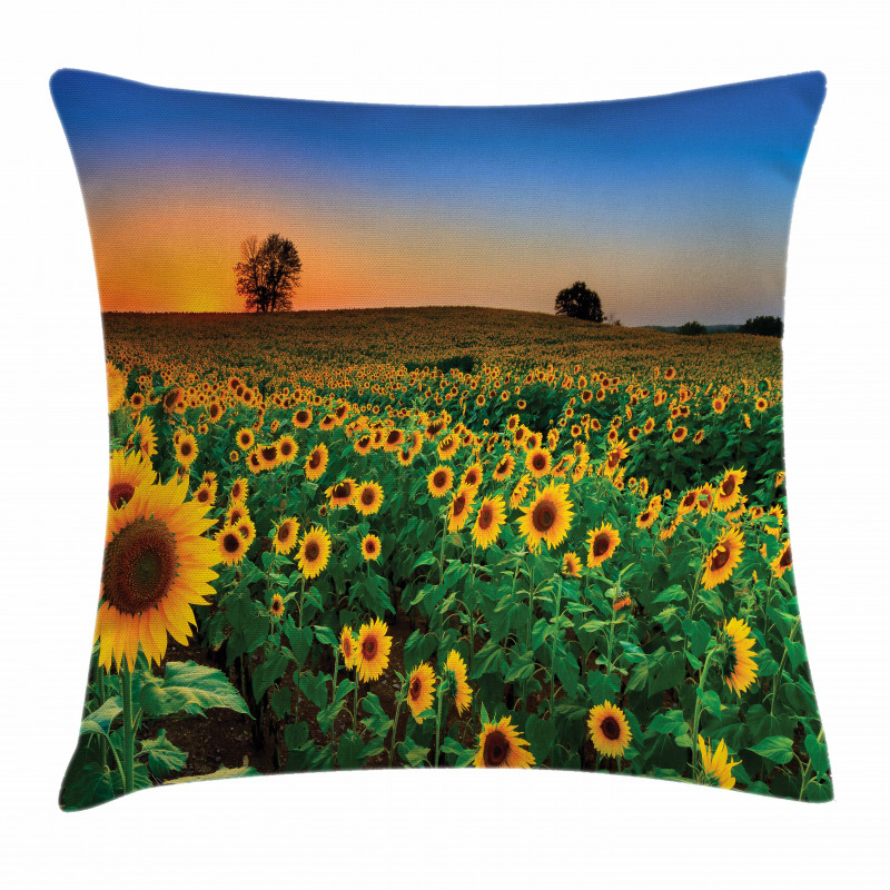 Flower Field at Sunset Pillow Cover