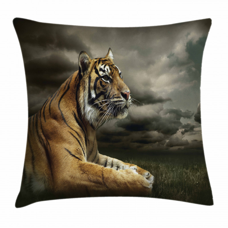 Jungle African Cat Clouds Pillow Cover