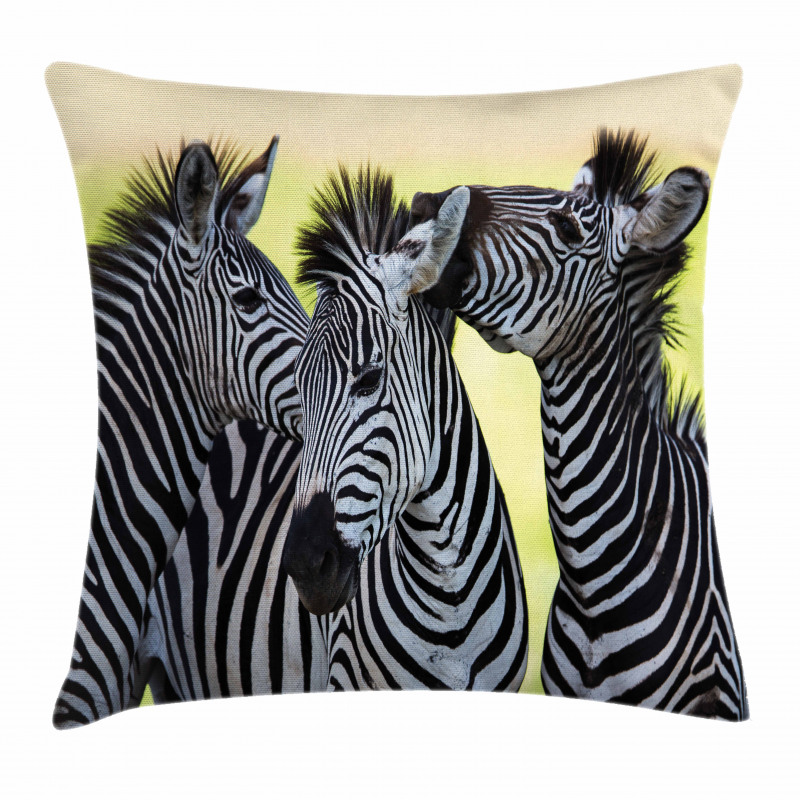 Zebras Wild Nature Pillow Cover