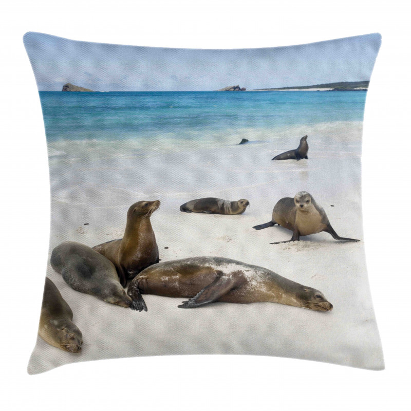 Galapagos Island Sea Lions Pillow Cover