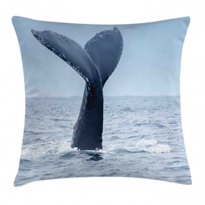 Whale Tail Puerto Lopez Pillow Cover